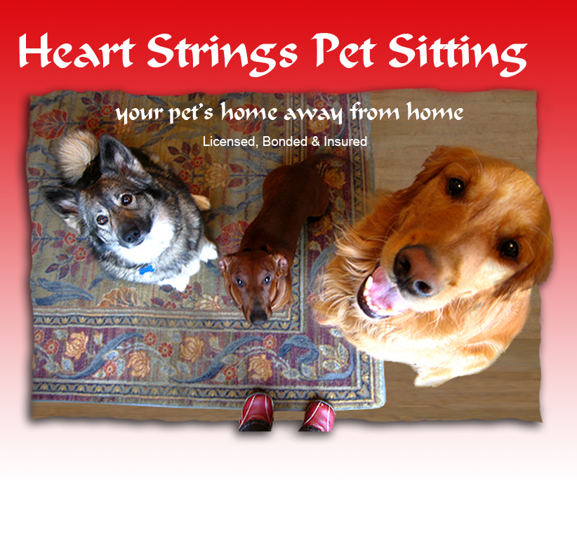 Heart Strings Pet Sitting, Your Pet's Home Away From Home